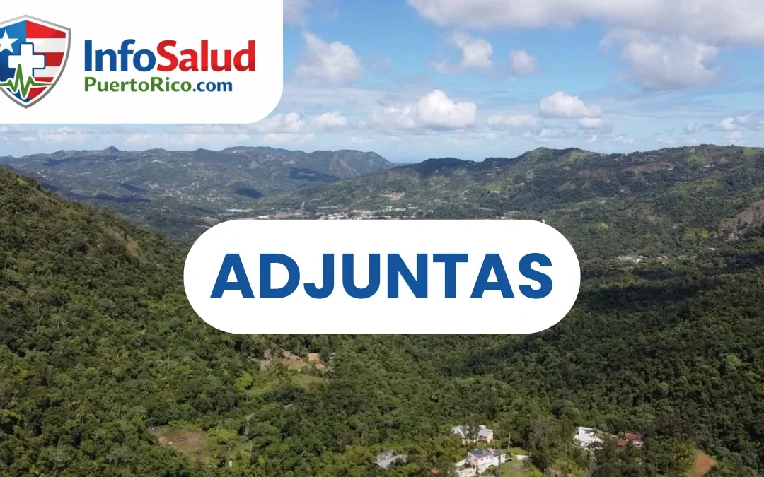 CDT en ADJUNTAS