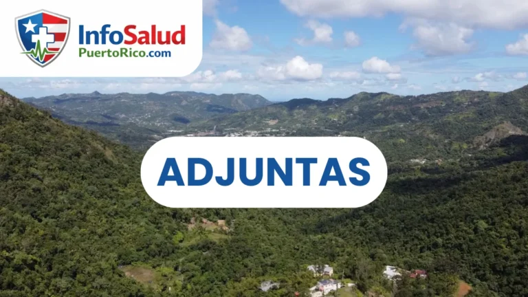 CDT en ADJUNTAS