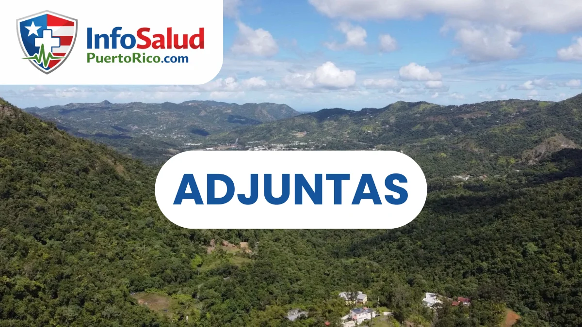 CDT en ADJUNTAS