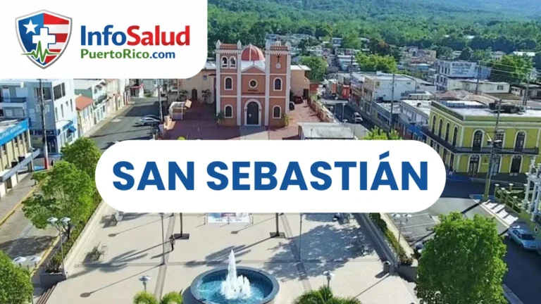 CDT en SAN SEBASTIÁN